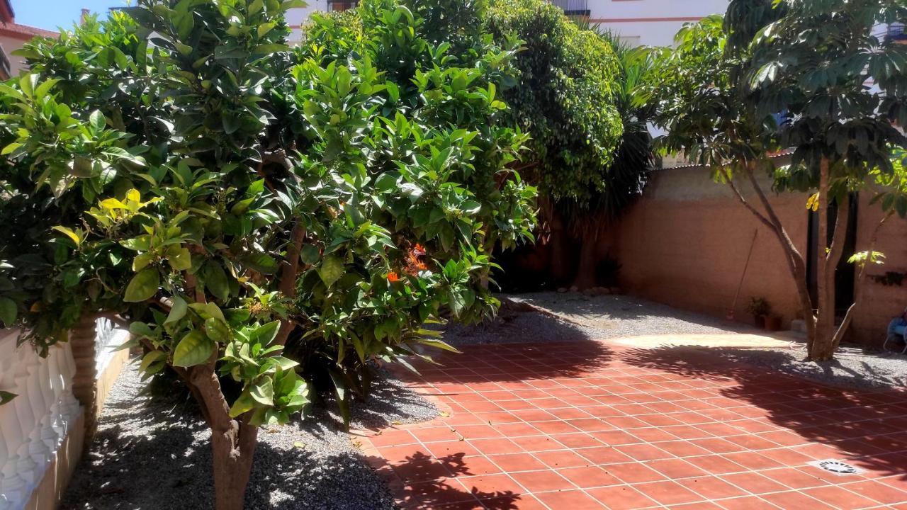 El Rincon De Clara Villa Almuñécar Екстериор снимка